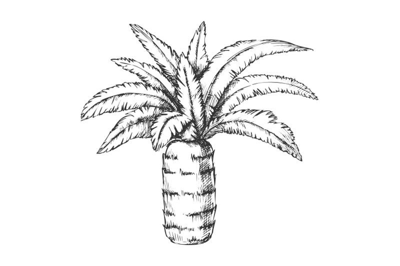 pineapple-palm-tropical-tree-monochrome-vector