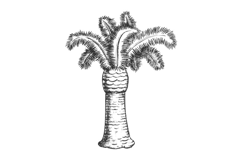 palm-coastline-tropical-tree-monochrome-vector