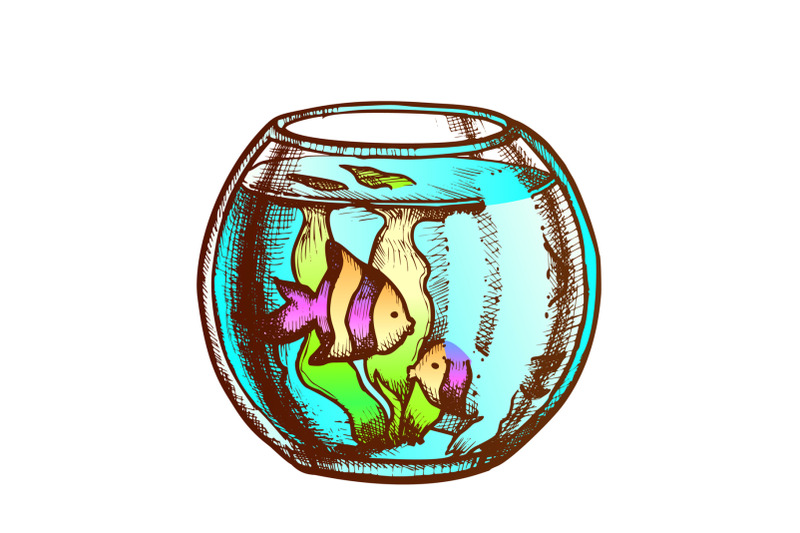 aquarium-with-decorative-fish-monochrome-vector