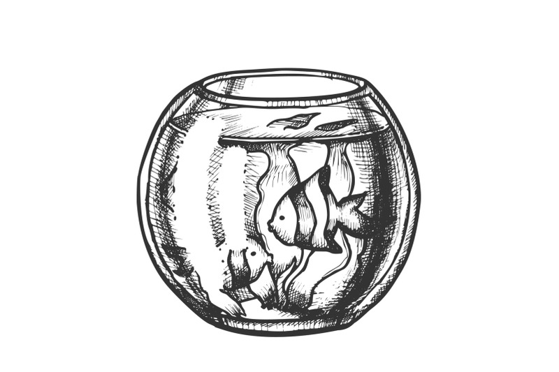 aquarium-with-decorative-fish-monochrome-vector