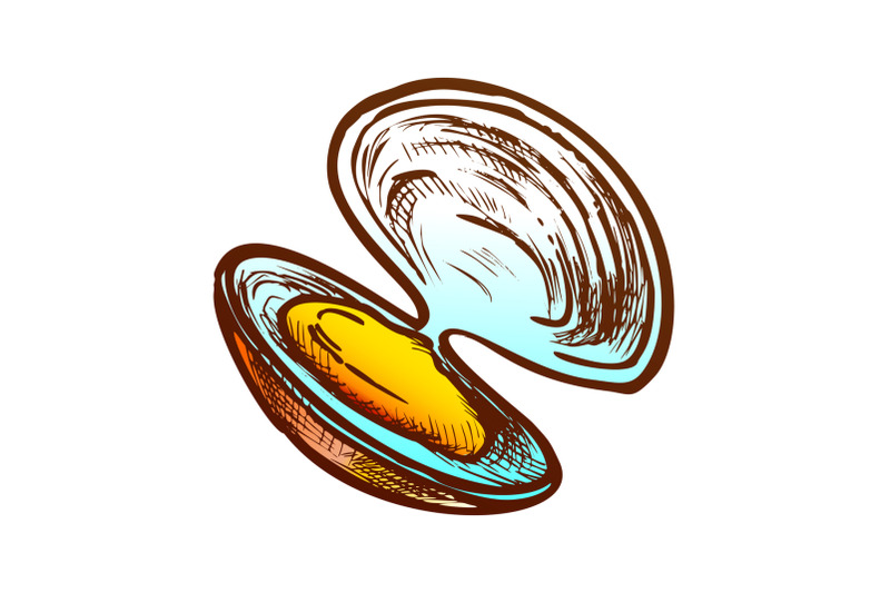 shell-meat-scallop-mussel-or-oyster-retro-vector