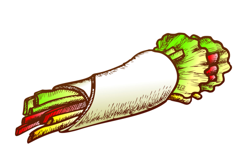 spring-roll-vegetables-in-rice-pita-ink-vector