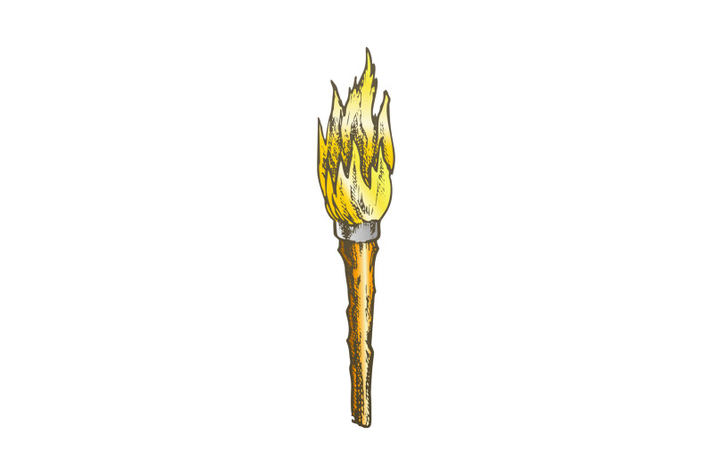 torch-handmade-old-wooden-burning-stick-color-vector