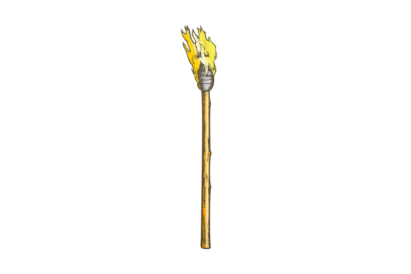 torch-tall-handmade-wood-burning-stick-color-vector