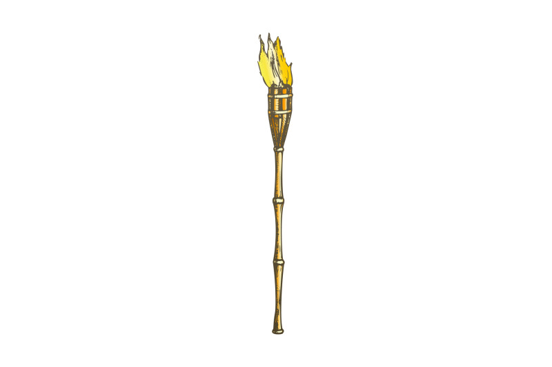 torch-burning-bamboo-beach-lamp-color-vector