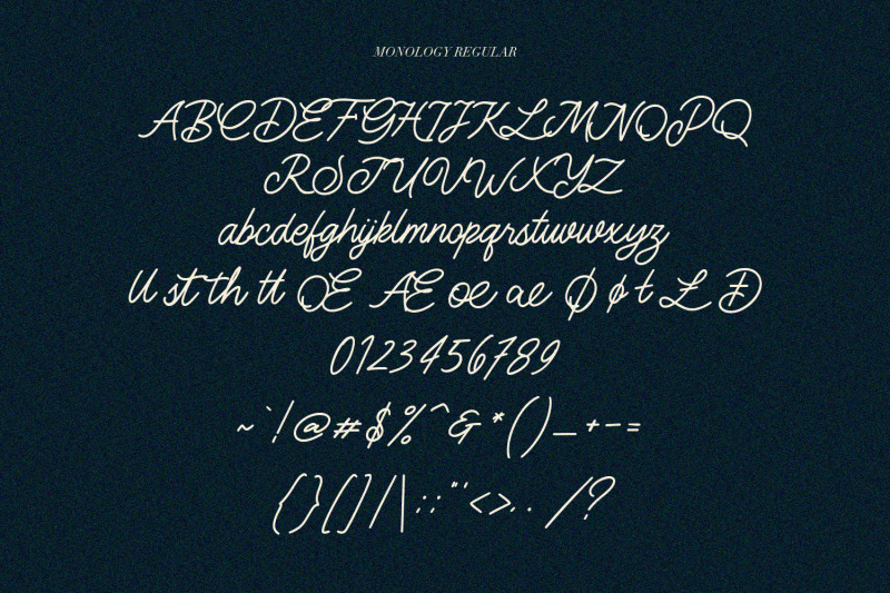 monology-swash-script-vintage-font