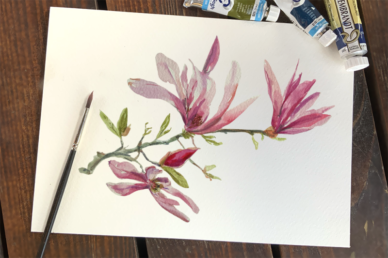 watercolor-magnolia-clip-art-wreath-and-pattern