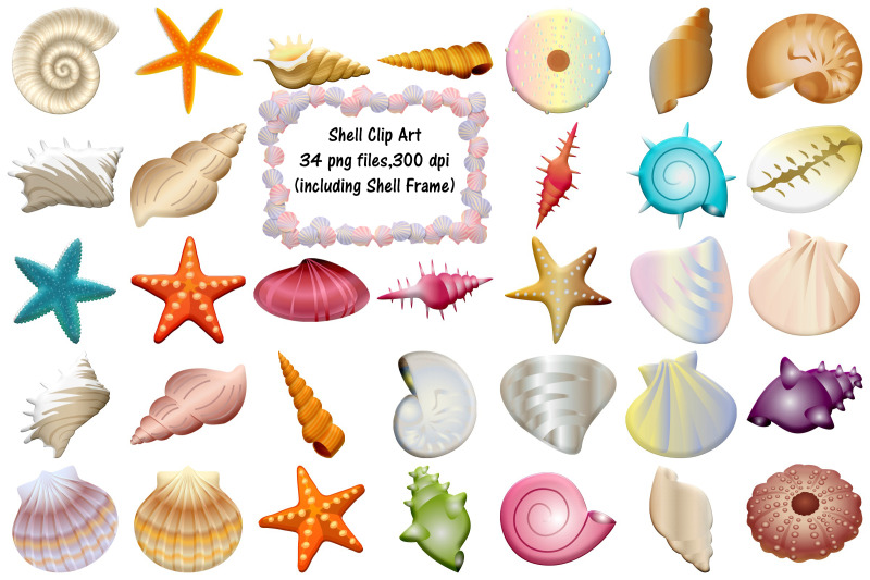 sea-shells-clip-art