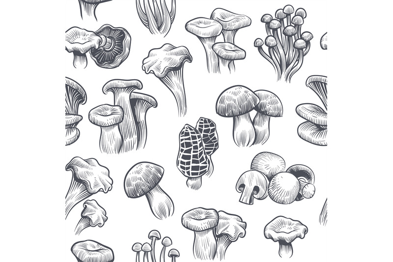 mushroom-seamless-pattern-sketch-various-mushrooms-truffle-and-champi