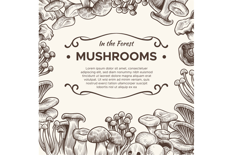 mushrooms-hand-drawn-mushroom-champignon-truffle-porcini-and-chante