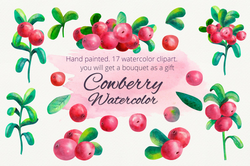 cowberry-watercolor-clipart