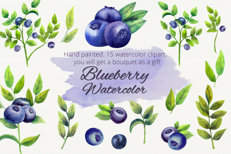 blueberry-watercolor-clipart