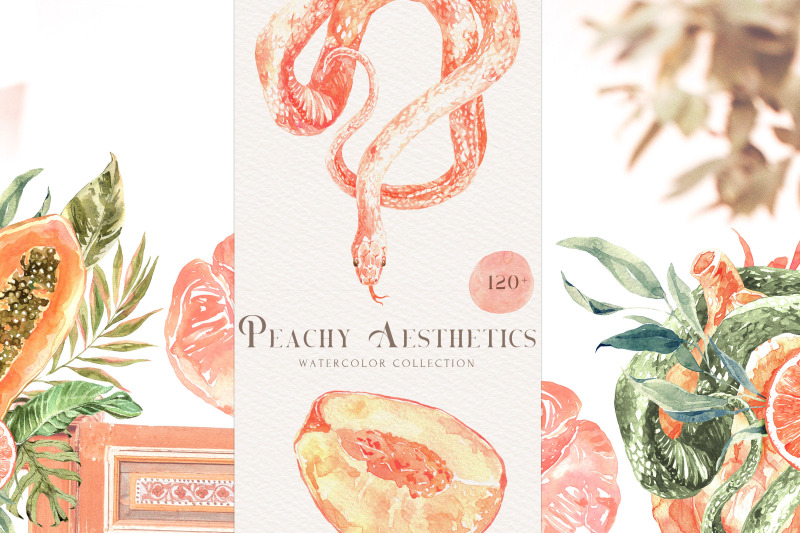 peach-aesthetics-tropical-watercolor