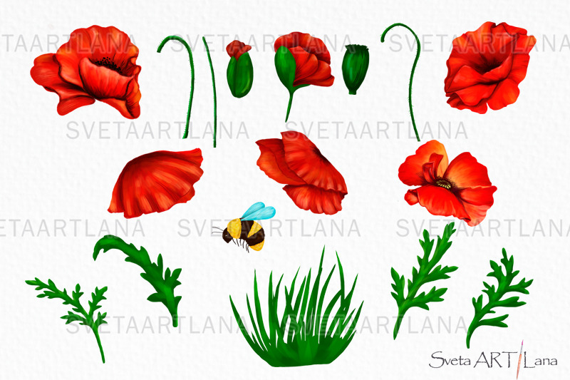 poppy-clipart-red-flower-and-bee-bouquet-of-poppy