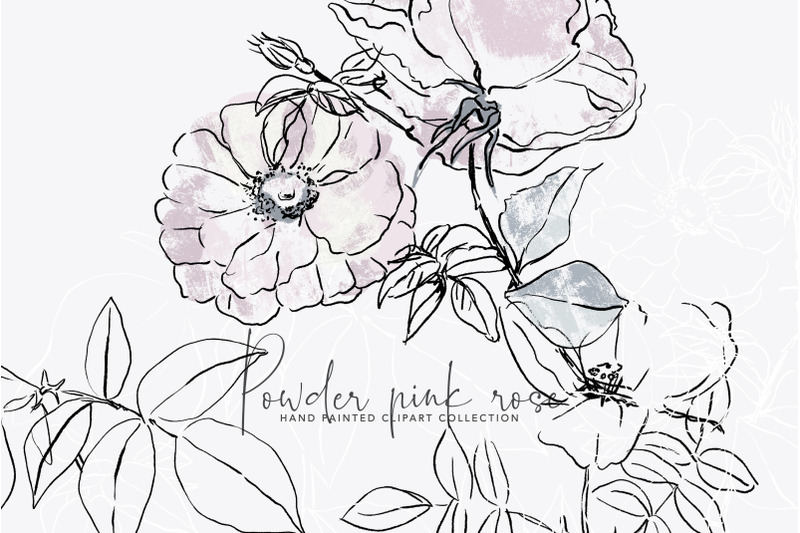 hand-drawn-rose-clipart-hand-painted-abstract-rose-clip-art-separa