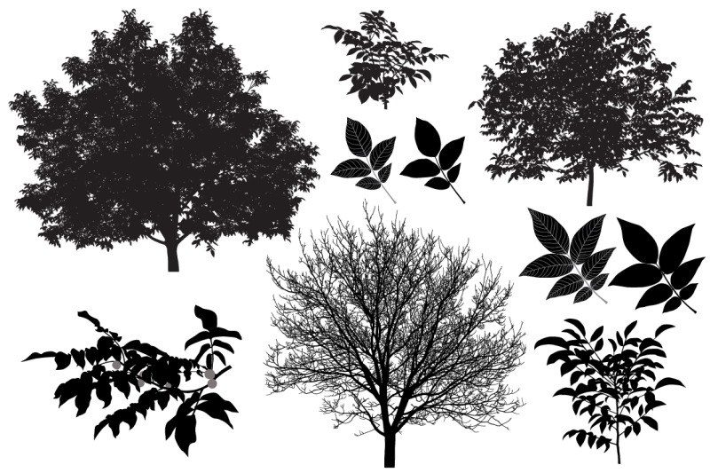 walnut-tree-silhouette