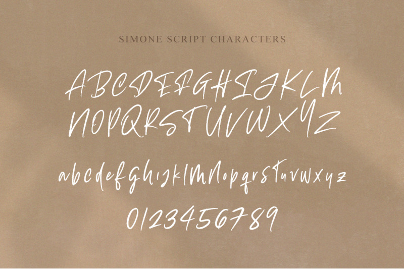 simone-script-textured-fonts-script-fonts-brush-fonts