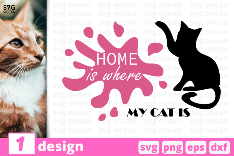 1-home-is-where-my-cats-are-svg-bundle-quotes-cricut-svg