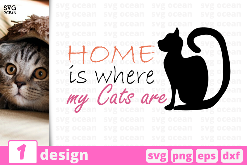 1-home-is-where-my-cats-are-svg-bundle-quotes-cricut-svg