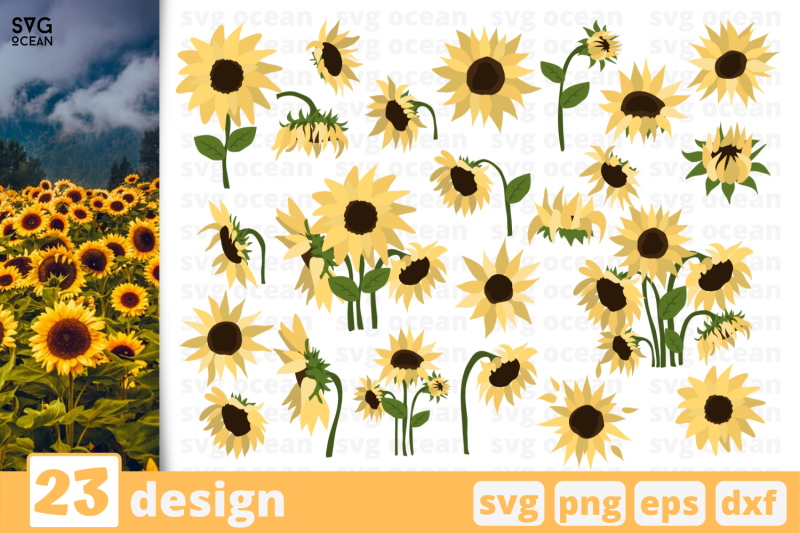 23-sunflowers-svg-bundle-flower-cricut-svg