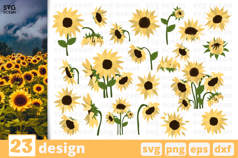 Free Free Flower Svg Bundle 73 SVG PNG EPS DXF File