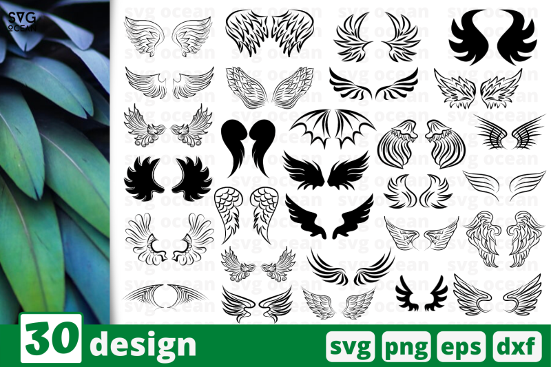 30-wings-svg-bundle-feather-nbsp-cricut-svg