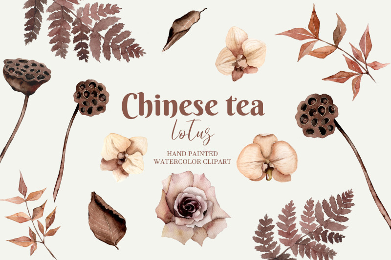 watercolor-chinese-flowers-watercolor-beautiful-lotus-chinese-tea