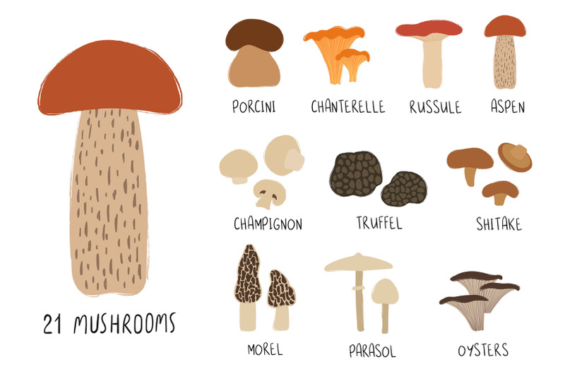 go-for-mushrooms-forest-collection