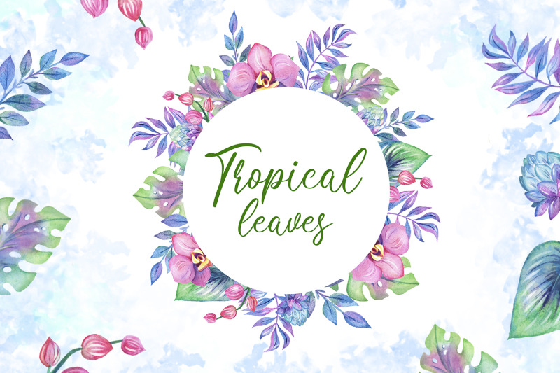 tropical-leaves-clipart-orchids-clipart-tropics-greens