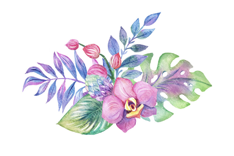 tropical-leaves-clipart-orchids-clipart-tropics-greens