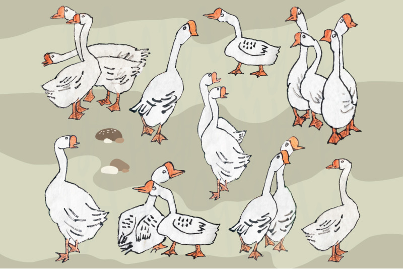 cute-goose-collections-set