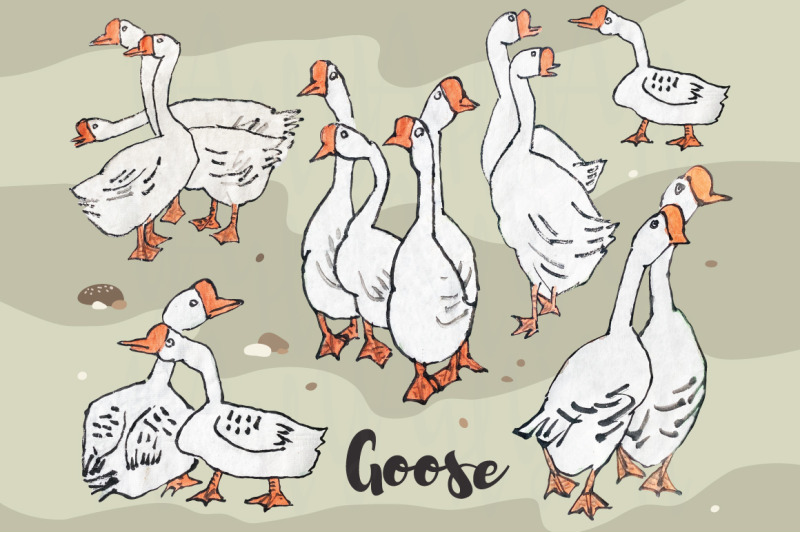 cute-goose-collections-set