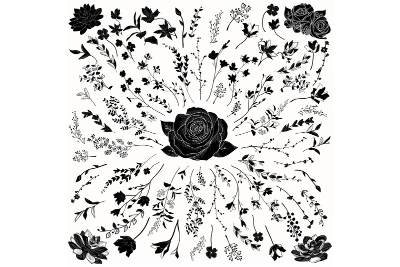 vector-florals-black-shapes-hand-drawn-herbs-plants-flowers