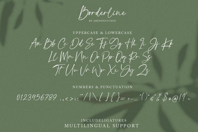 borderline-calligraphy-font