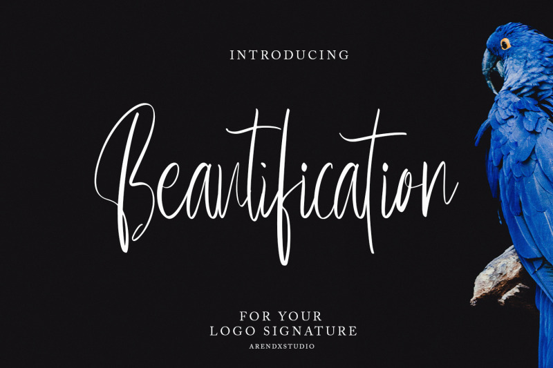 beautification-signature-font
