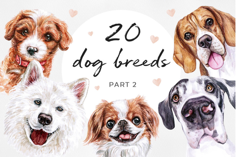 part-2-big-watercolor-illustrations-set-dog-breed-cute-20-dogs