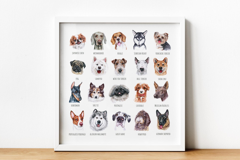 part-2-big-watercolor-illustrations-set-dog-breed-cute-20-dogs