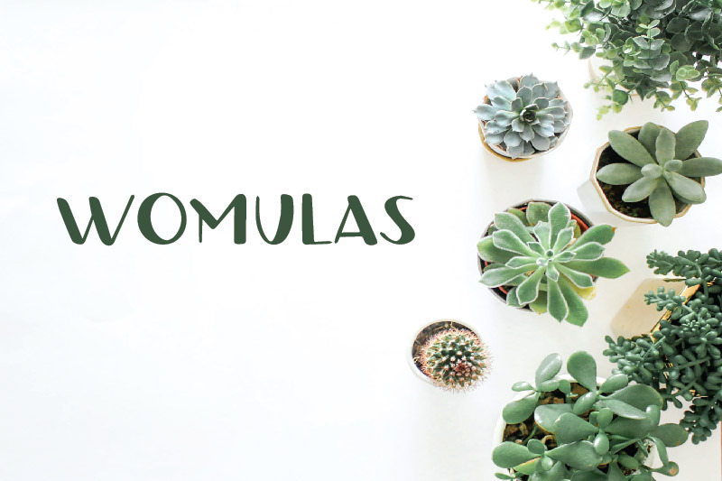 womulas-quirky-font