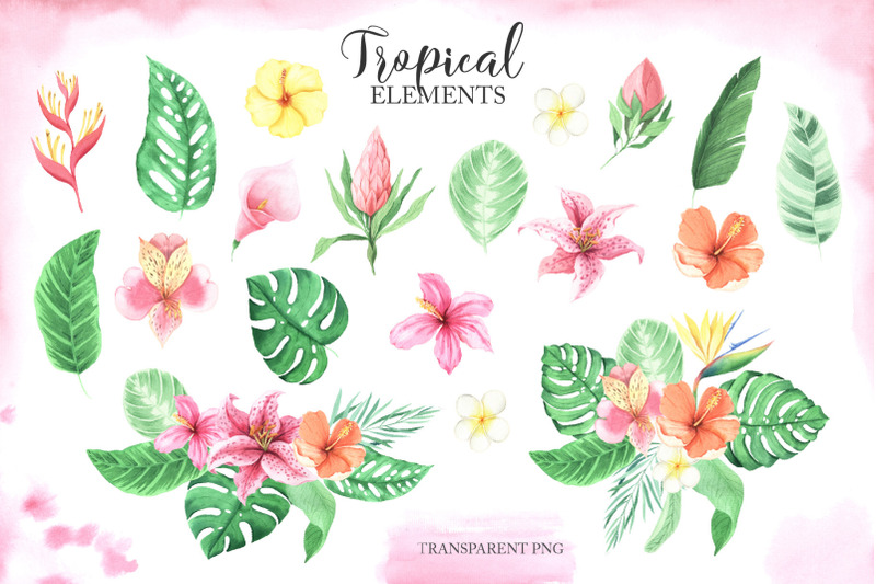 watercolor-tropical-animals-clipart