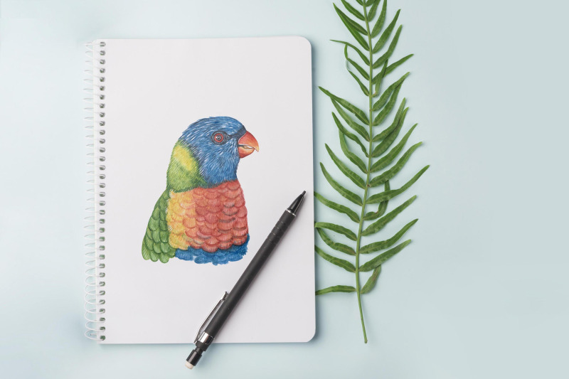 parrots-watercolor-set-illustrations-parrot-9-birds