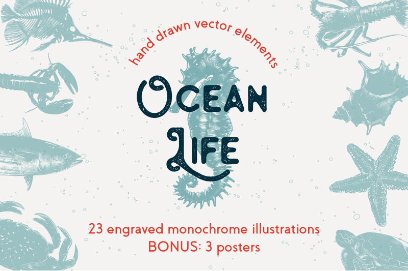 ocean-life-hand-drawn-sketches