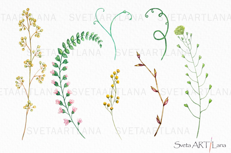 peonies-watercolor-flowers-clipart