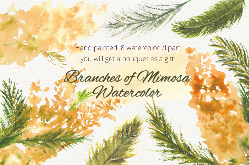 branches-of-mimosa-watercolor-clipart