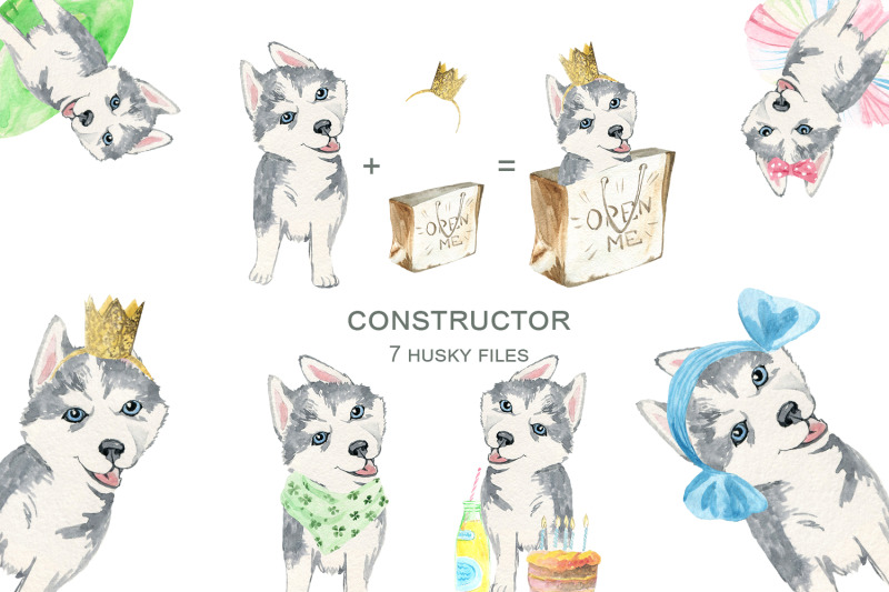 dogs-constructor
