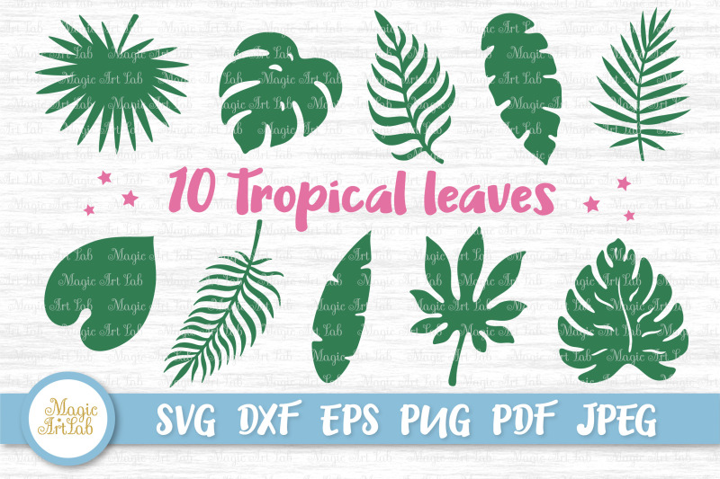 tropical-leaves-svg-tropical-party-decor-svg-jungle-leaves-svg