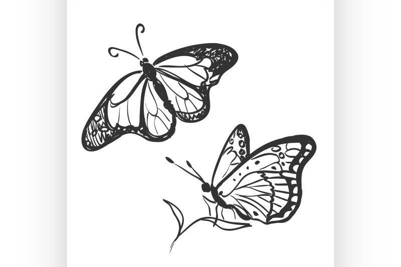 doodle-butterfly