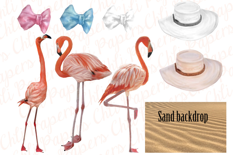 summer-girls-clipart-swimwear-girl-clipart-flamingos-clipart