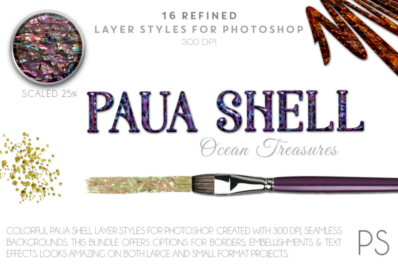 paua-shell-ocean-treasures