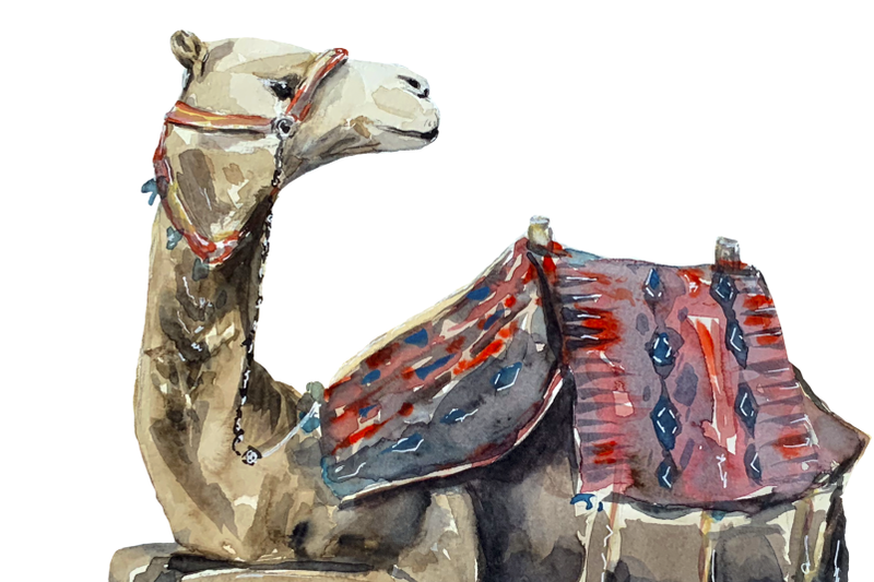 desert-animals-clip-art-and-print