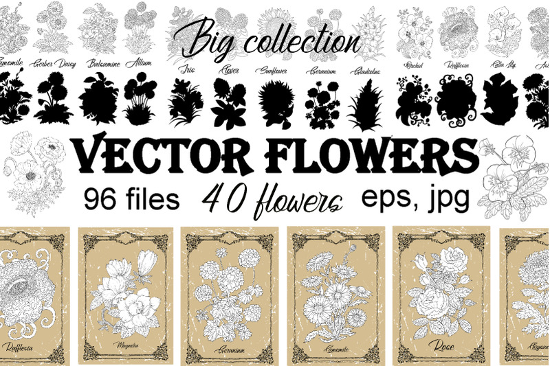 big-set-of-vector-hand-drawn-flowers